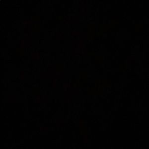 Meet your Posher, Zena